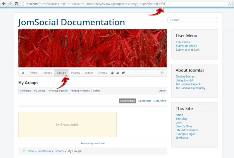 File:491.png